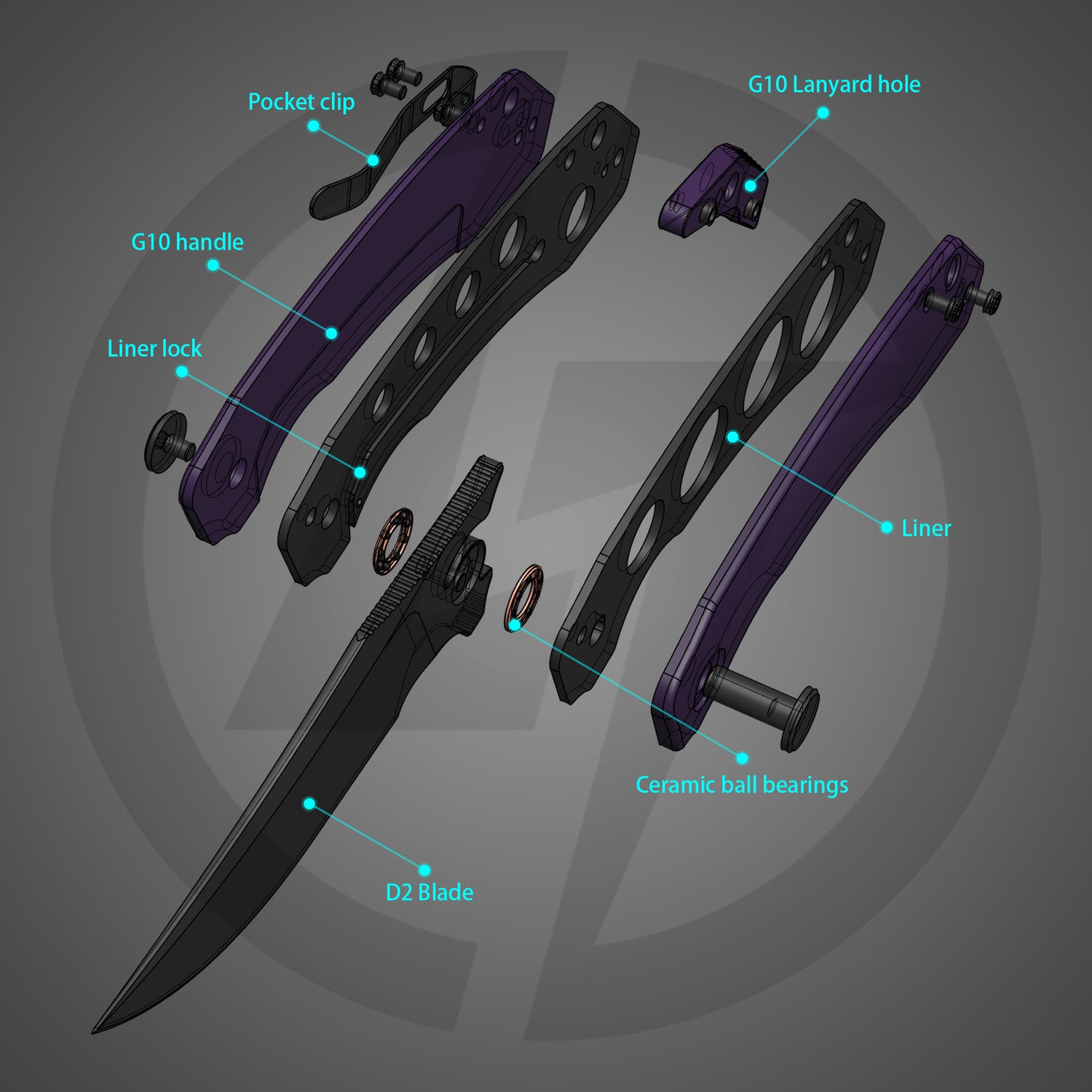 Color_Purple+Black Coating