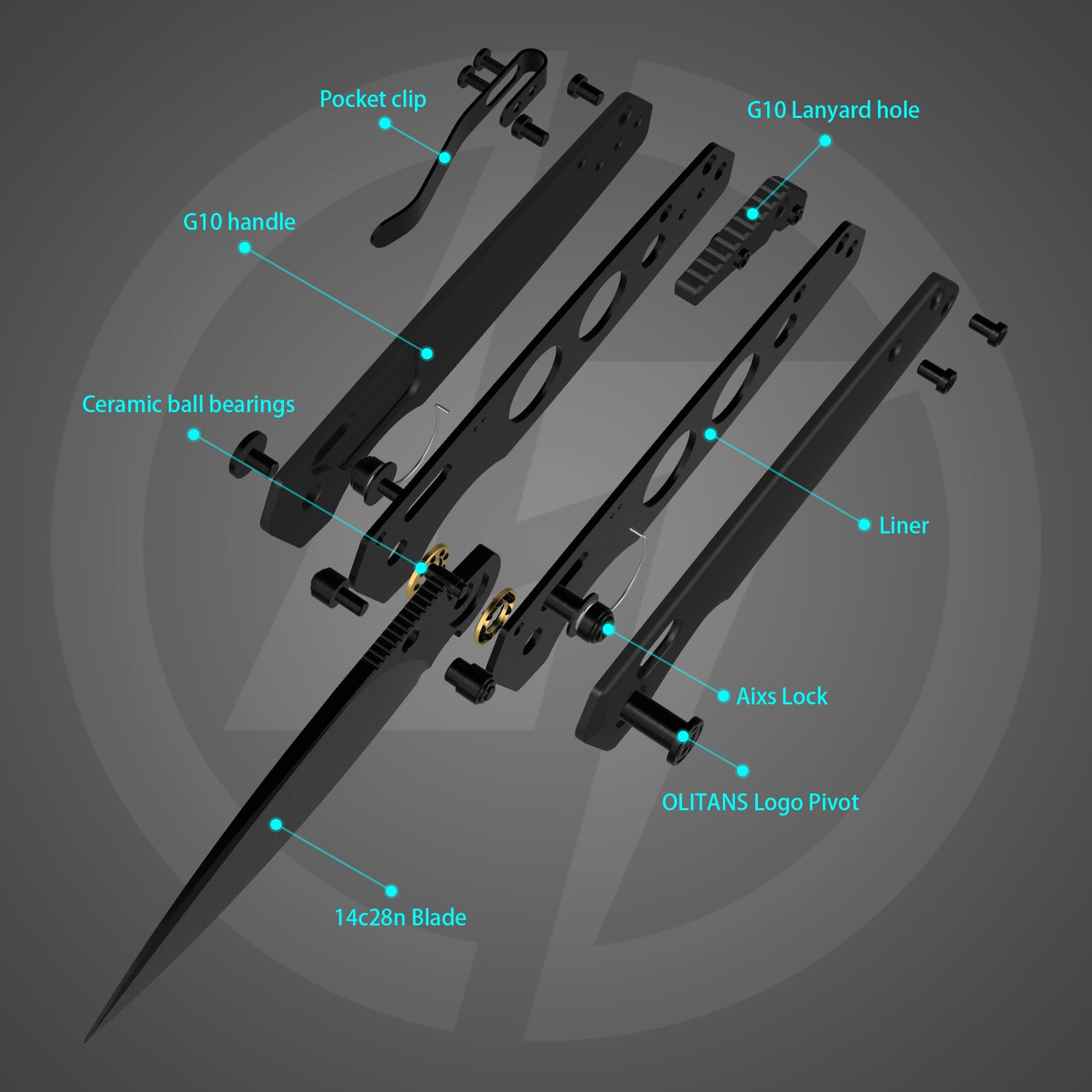 Youth Bird Pocket Knife(3''+14C28N+G10)-Crossbar Lock-Thumb stud-G053