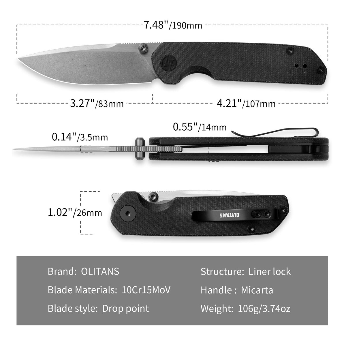 Lemon Shark G071(3.27
