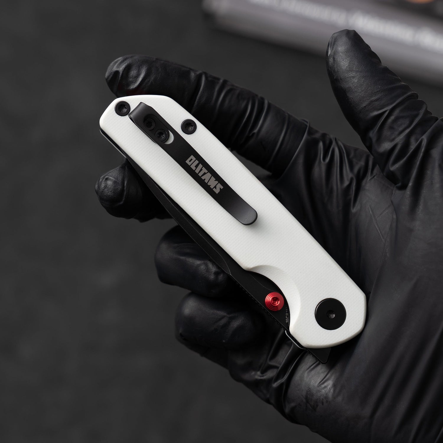 Lemon Shark G071(3.27