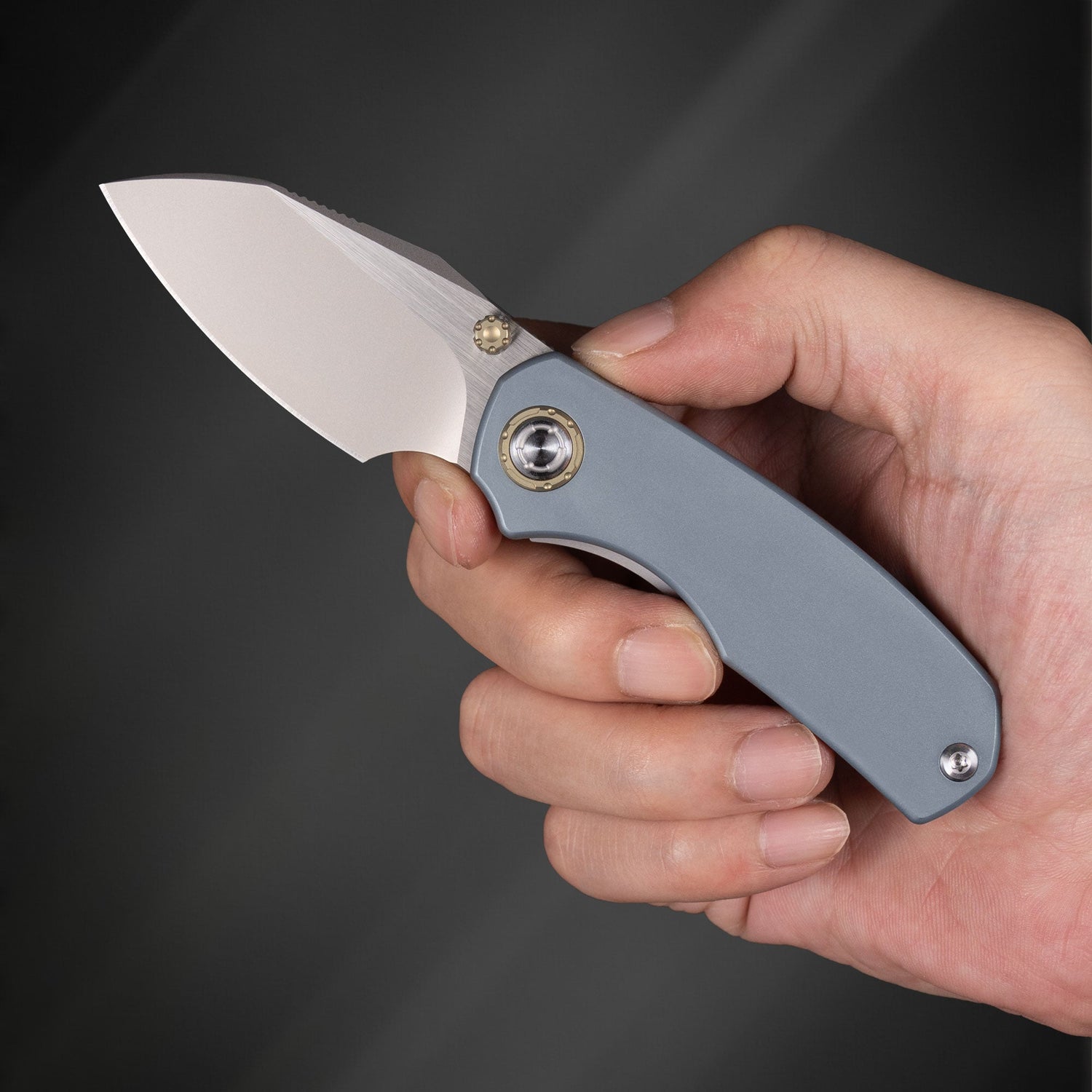 Mini Ti-Mastiff T074( 2.36'' + Bohler M390 +Titanium )Folding Knife