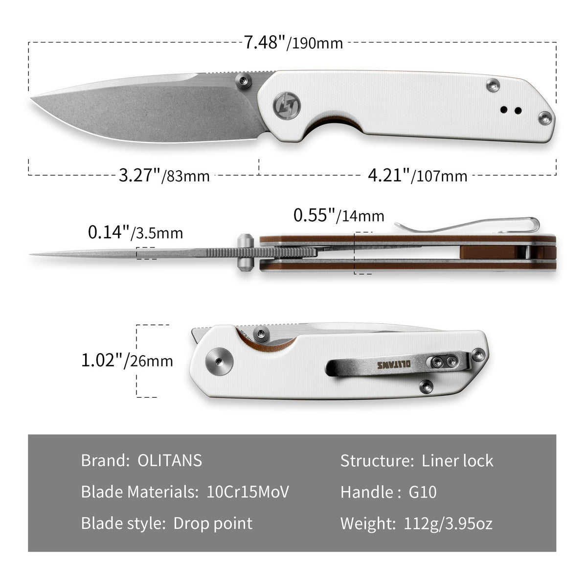 Lemon Shark G071(3.27