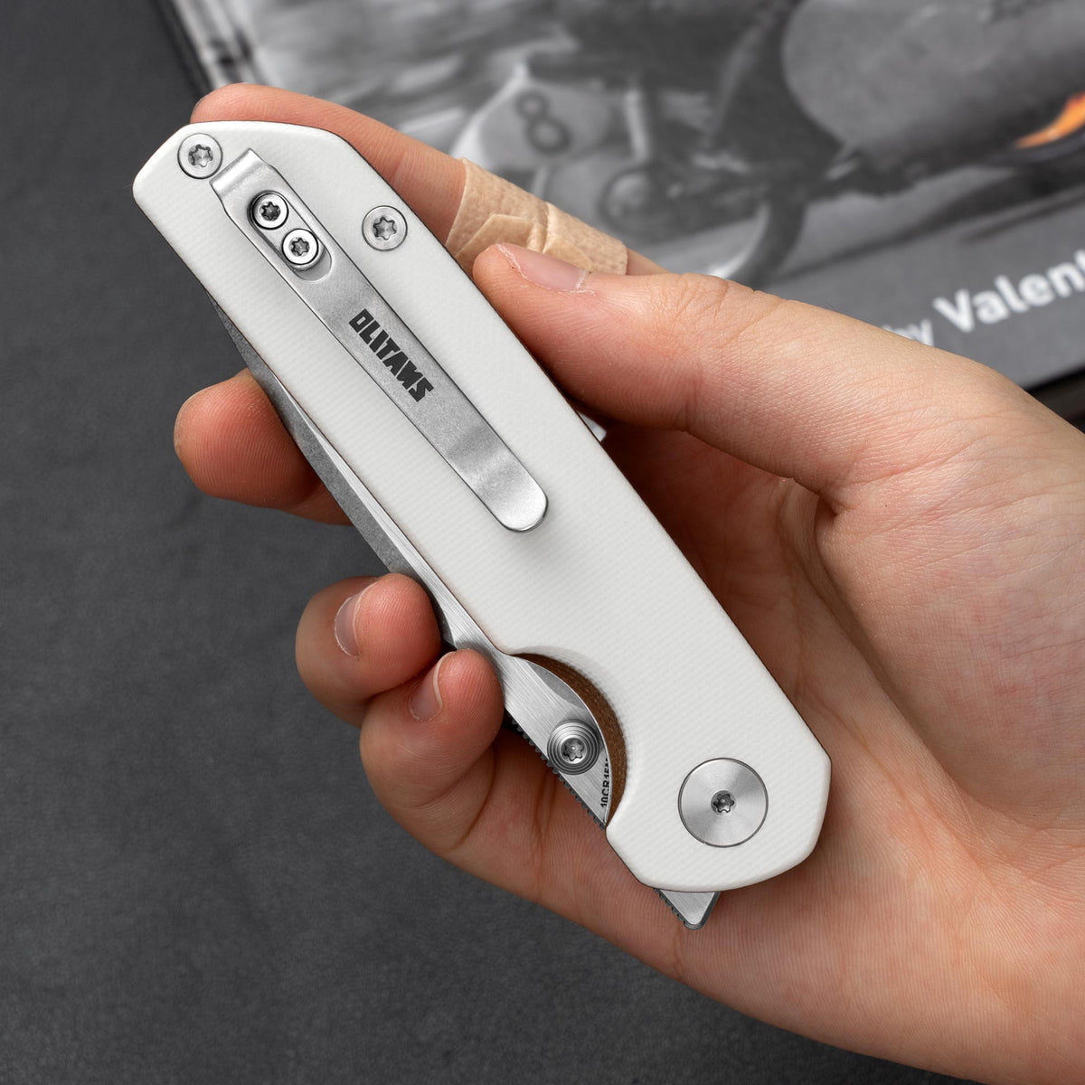 Lemon Shark G071(3.27