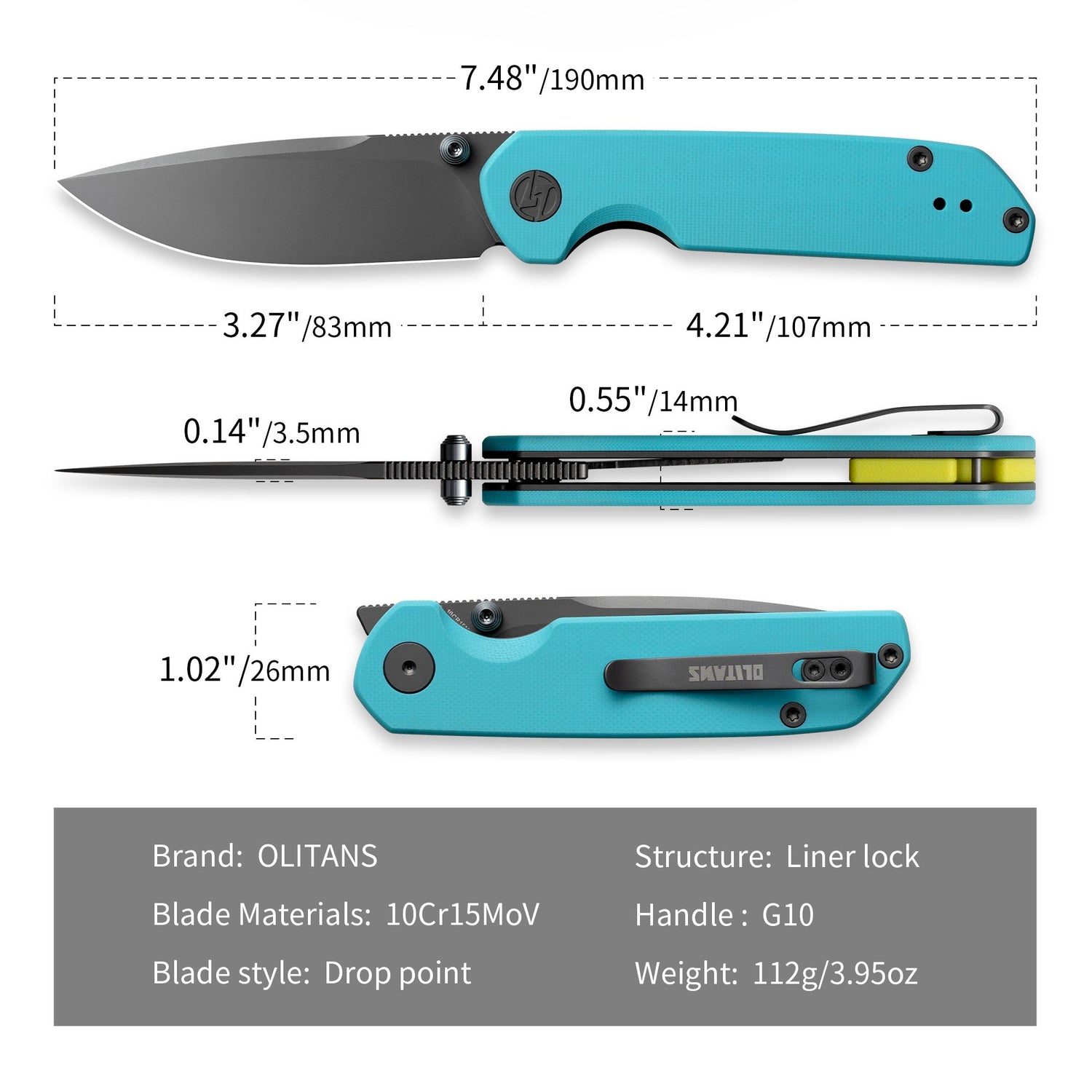 Lemon Shark G071(3.27