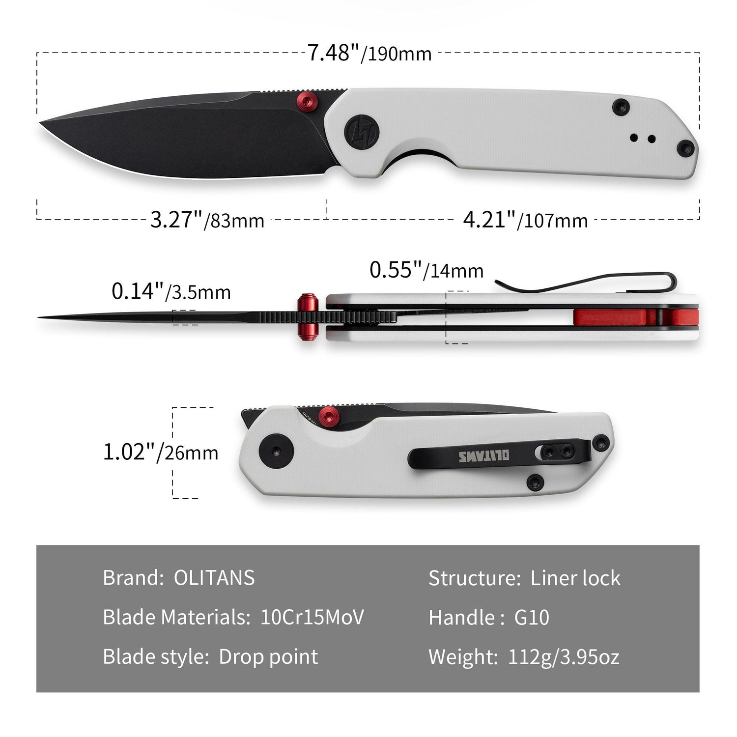 Lemon Shark G071(3.27