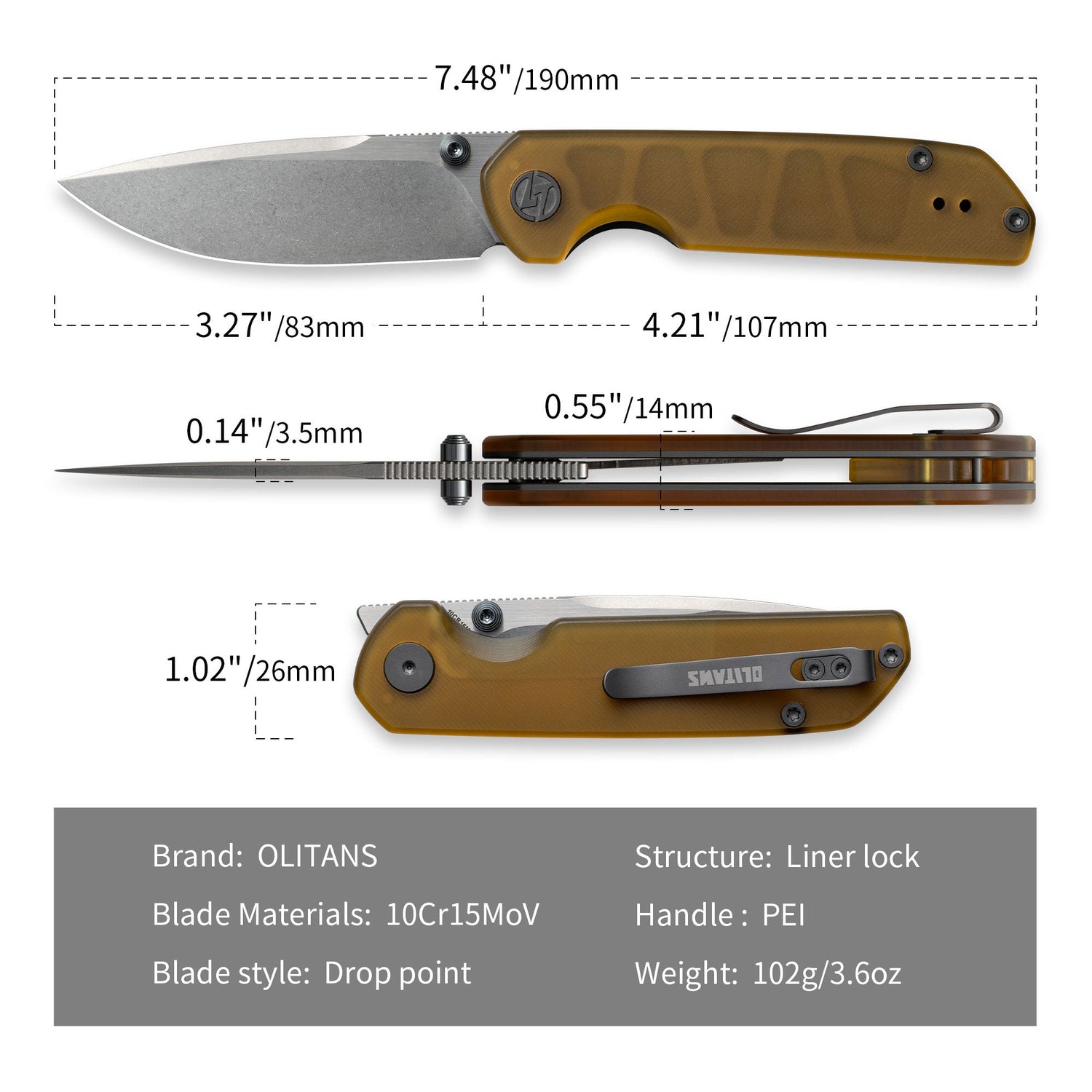 Lemon Shark G071(3.27