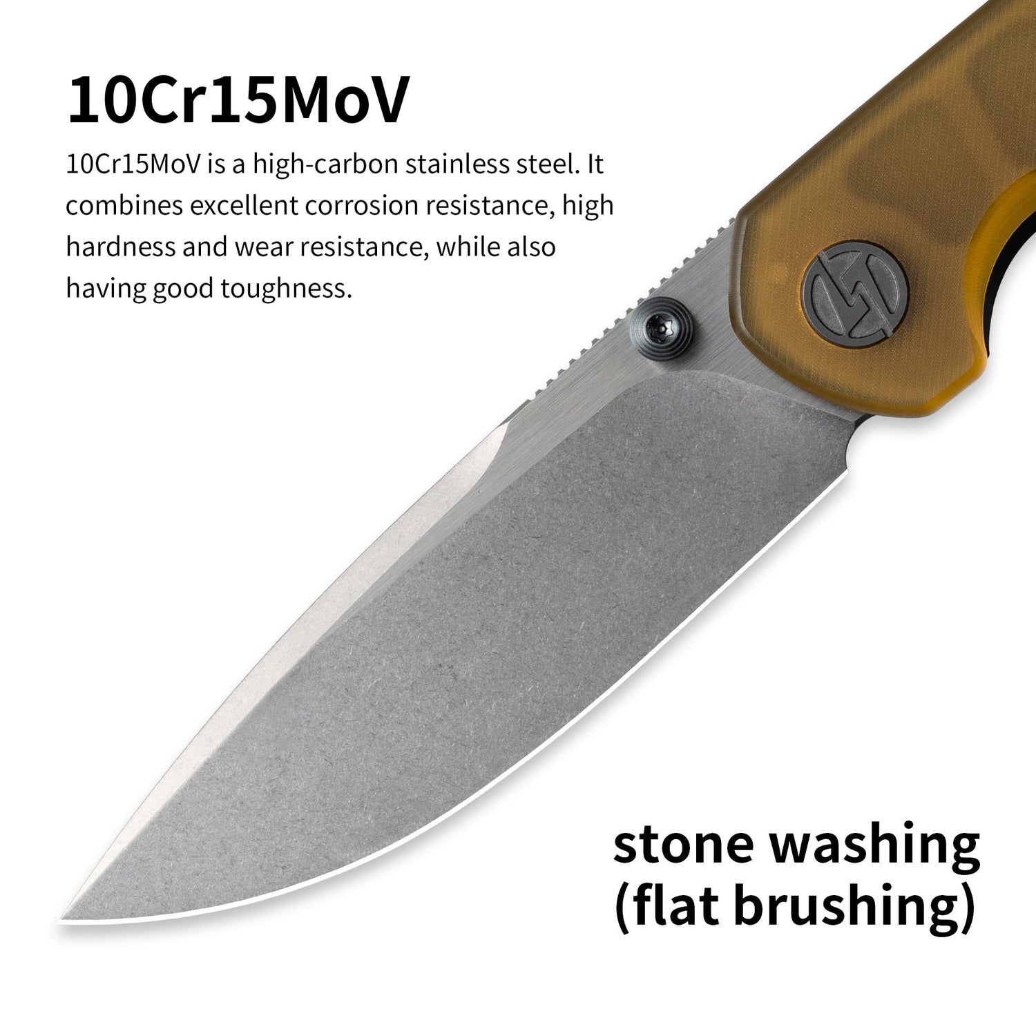 Lemon Shark G071(3.27