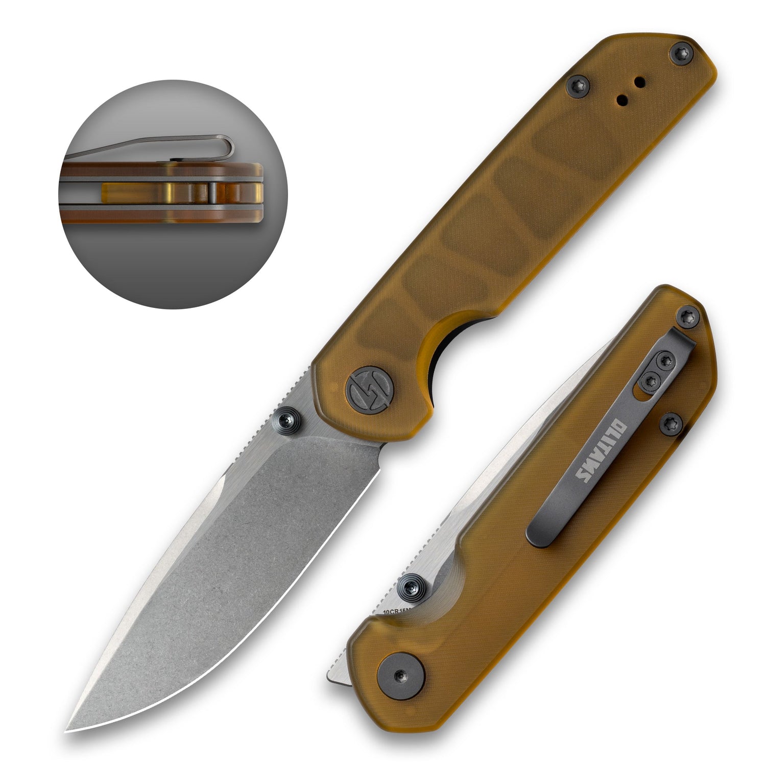 Lemon Shark G071（3.27