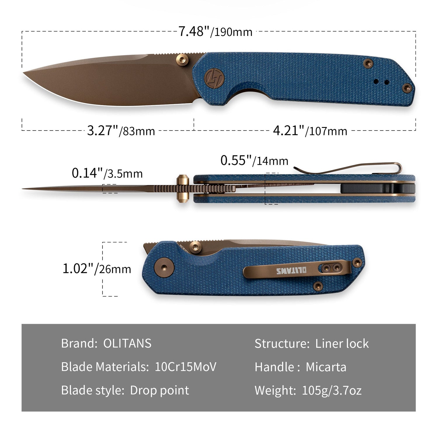 Lemon Shark G071（3.27