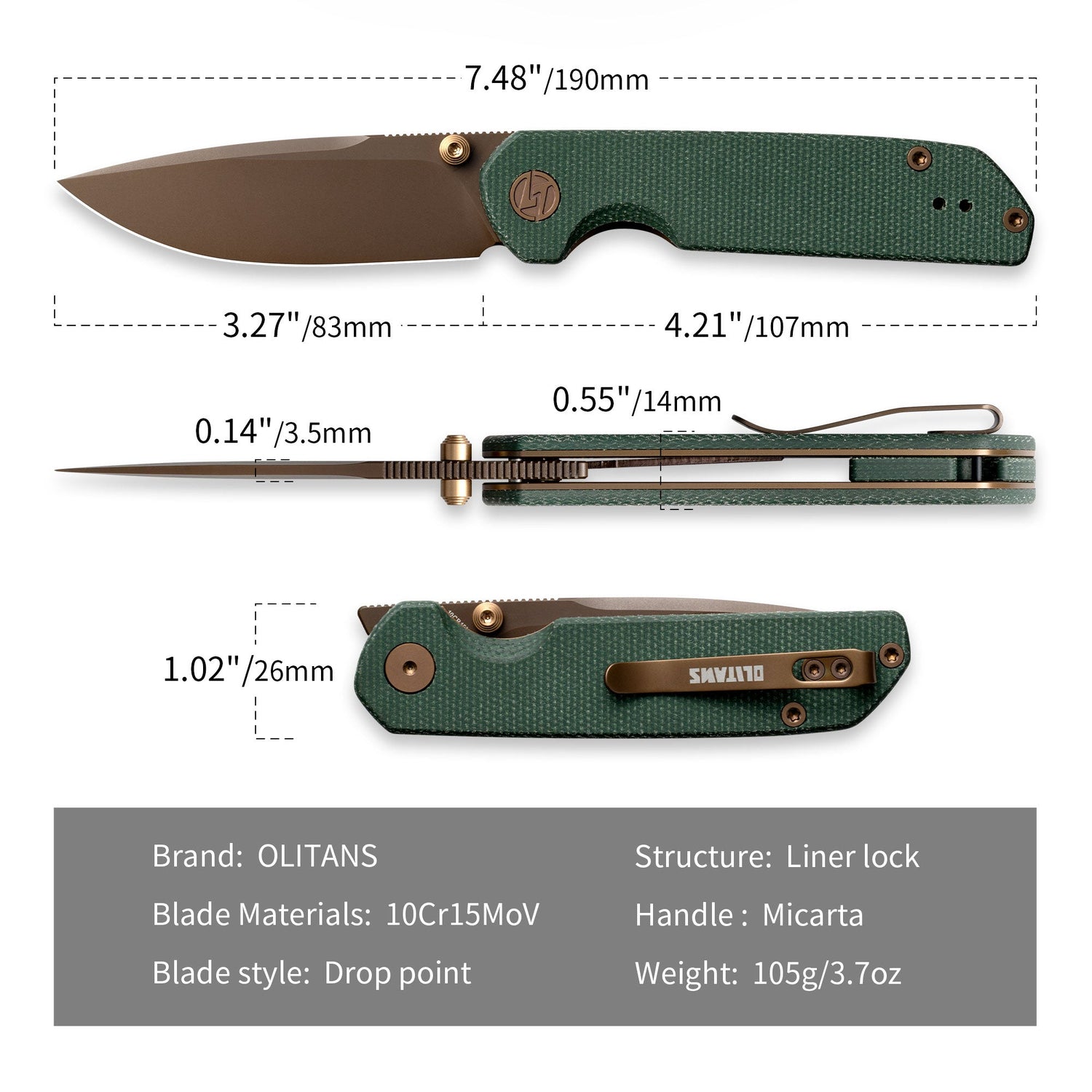 Lemon Shark G071（3.27