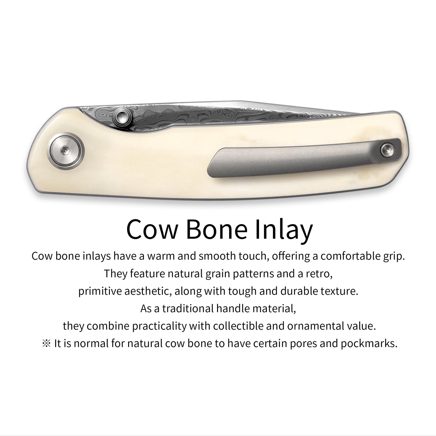 M070-DS Folding Knife(3.07''+Damascus+Cow bone)-Liner Lock-thumb stud-OLITANS