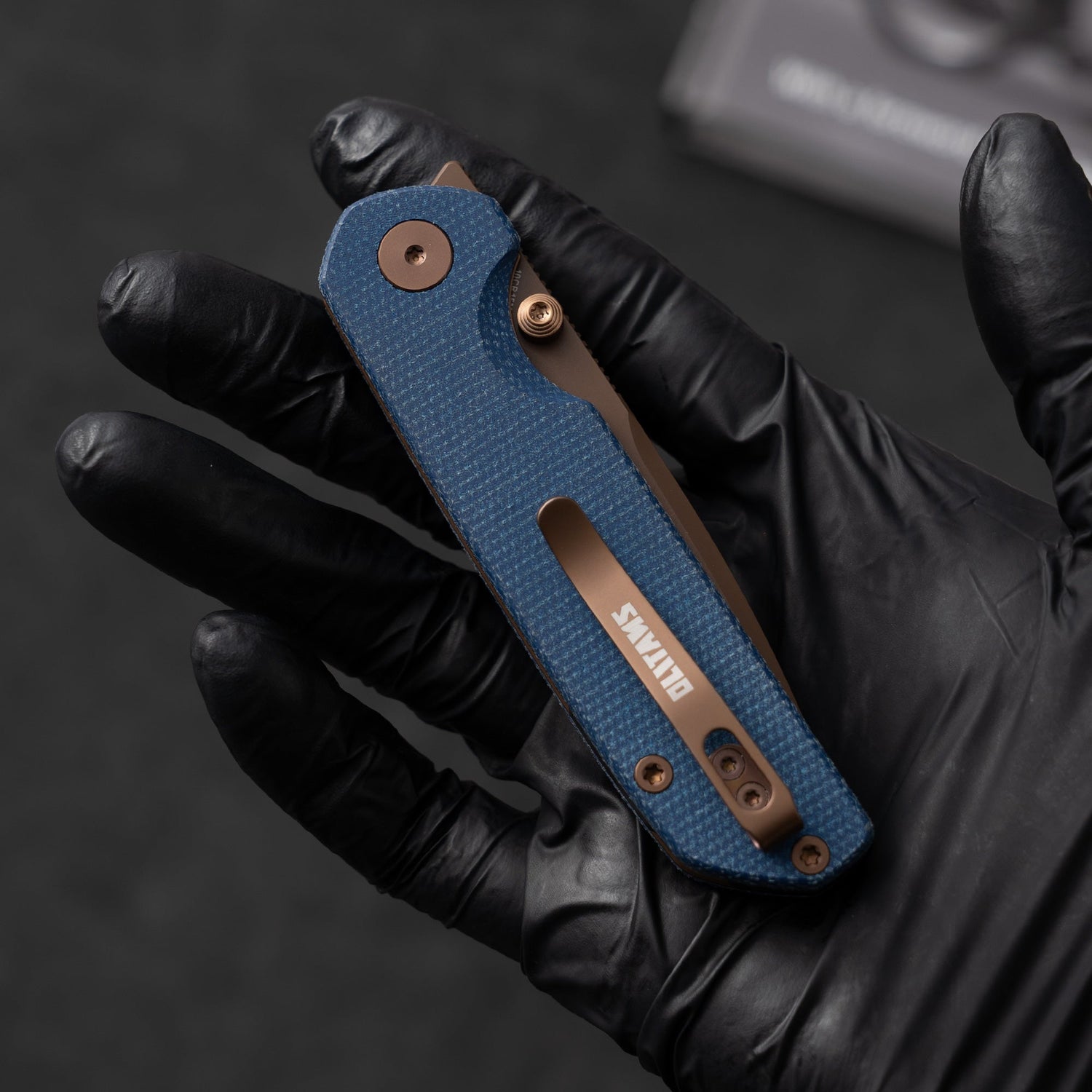 Lemon Shark G071（3.27