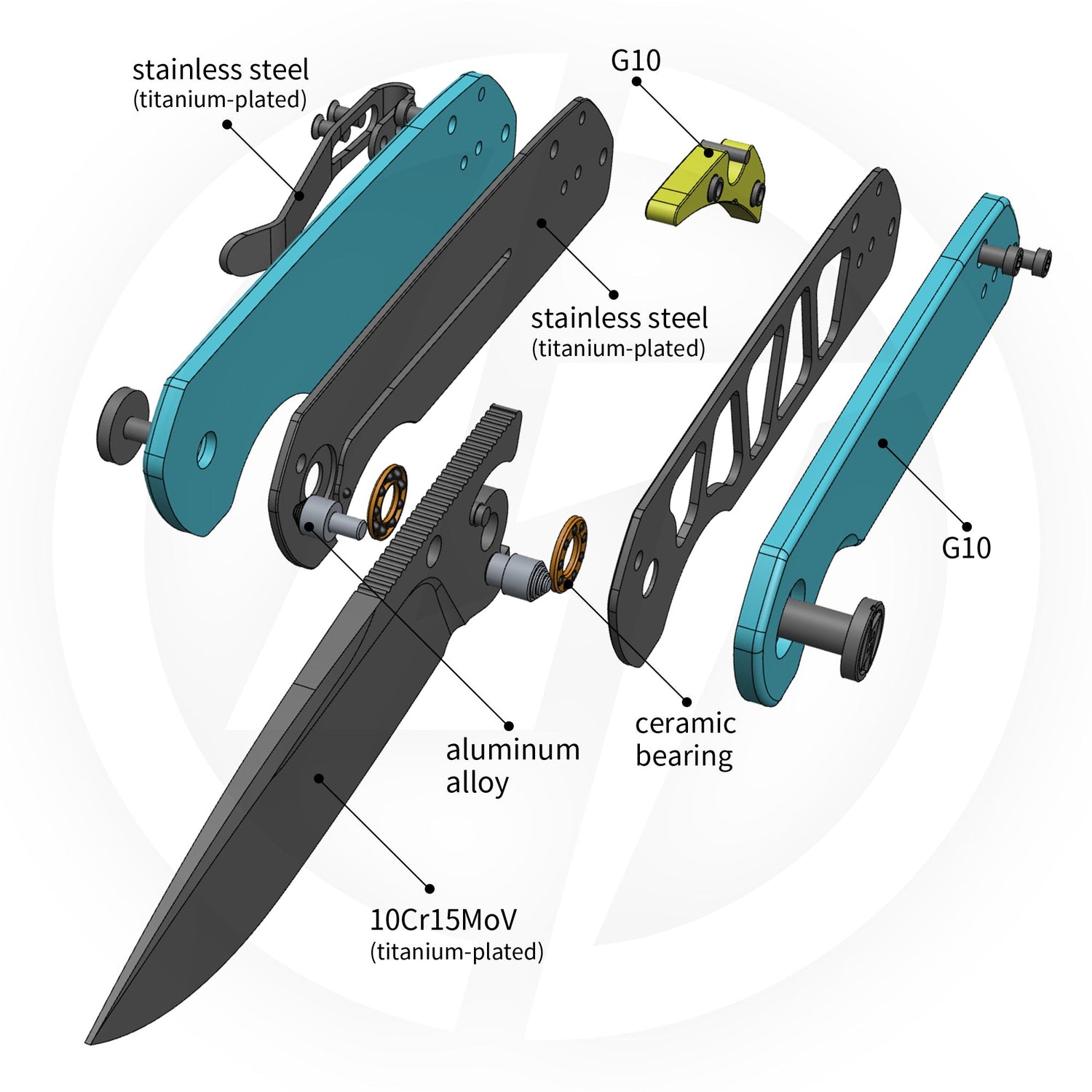 Lemon Shark G071（3.27