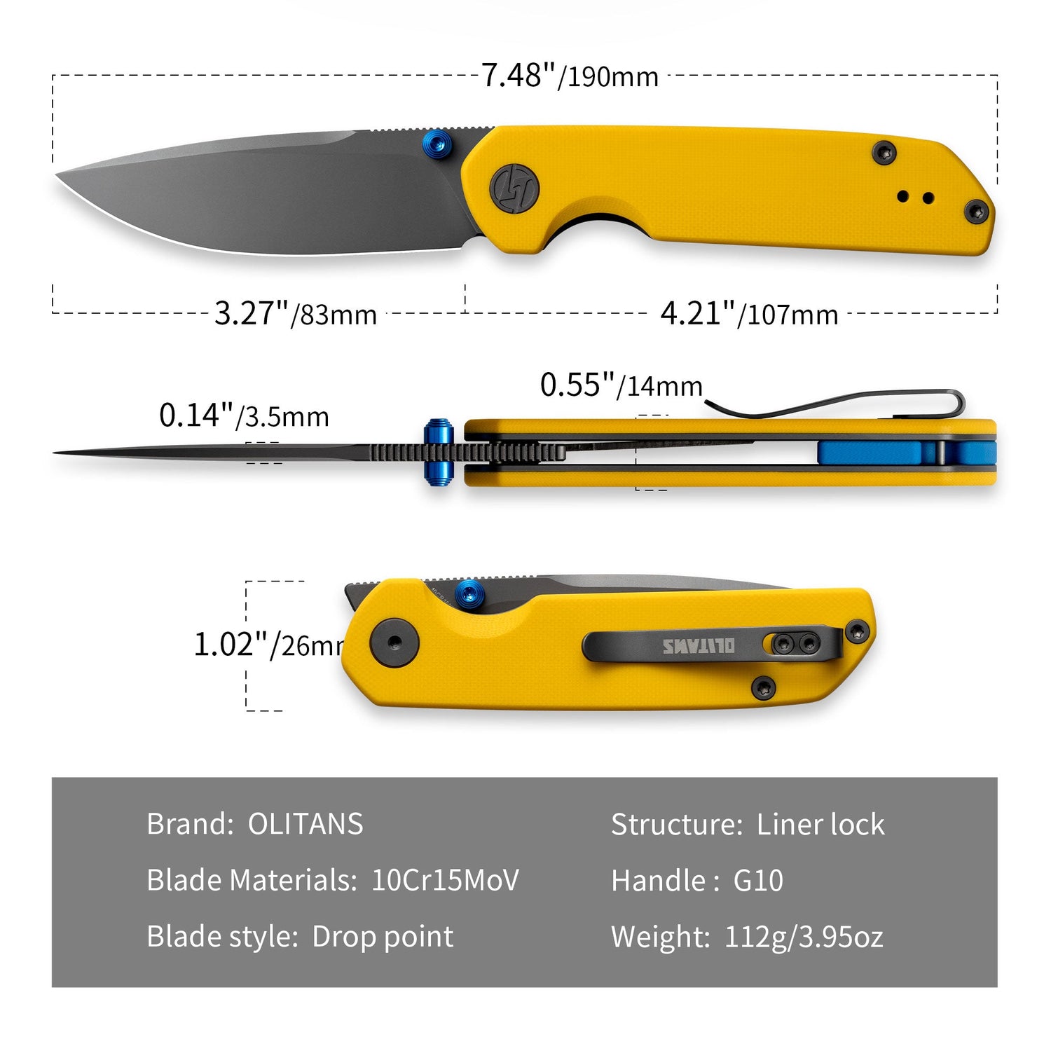 Lemon Shark G071（3.27