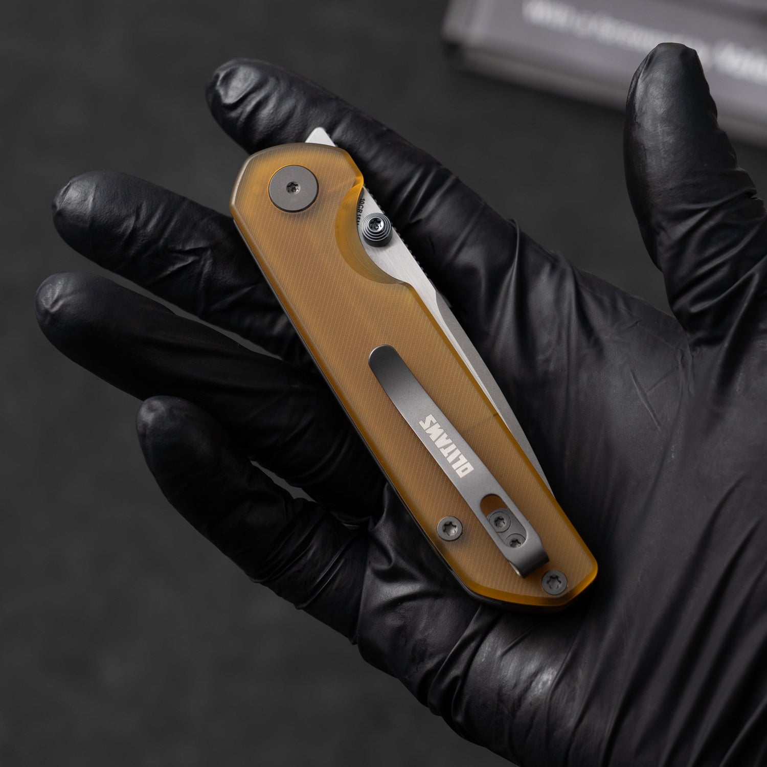 Lemon Shark G071（3.27